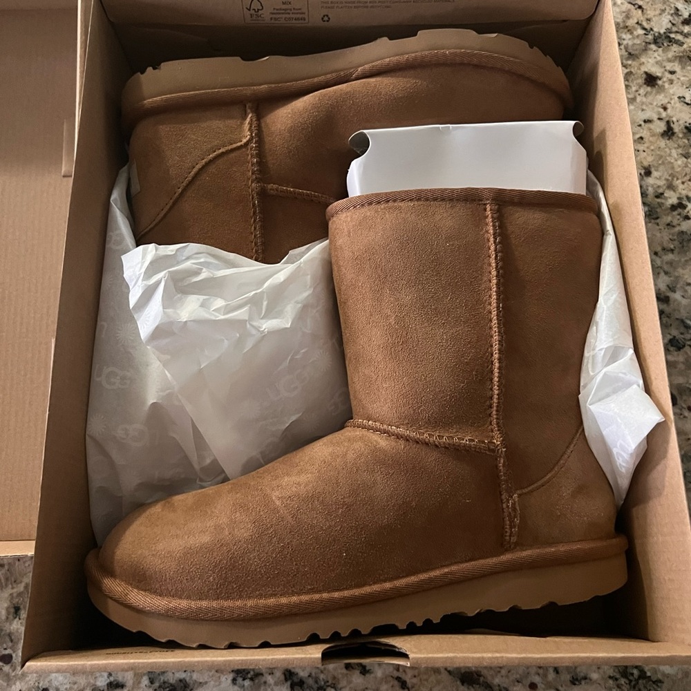 Brand new in box Chestnut short Uggs